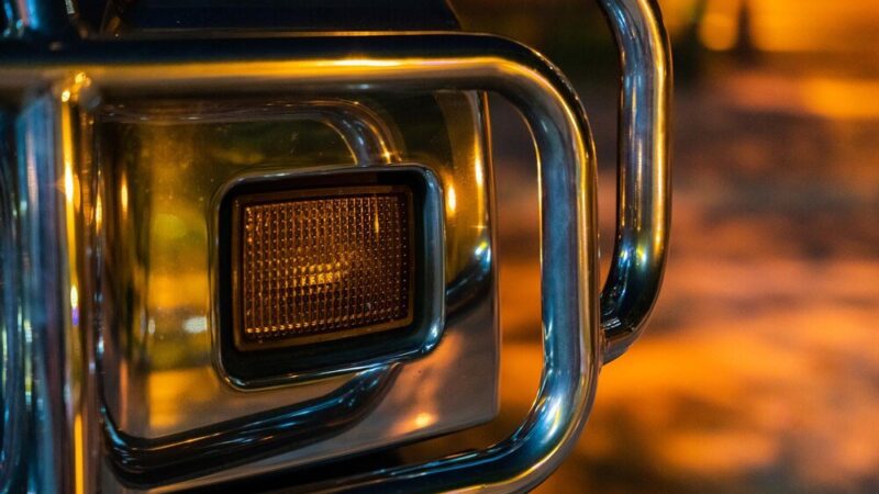 Żarówki do podświetlenia tablicy rejestracyjnej w Fiat Panda 169